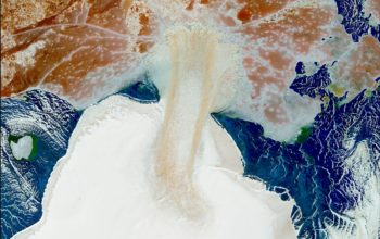Vavilov izotz-geruza ozeano Artikoan